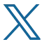 X Icon