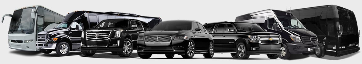 Sacramento, San Francisco, Wine Country, Napa Valley Limousine Fleet, Sedans, SUVs, MiniBus, Coach