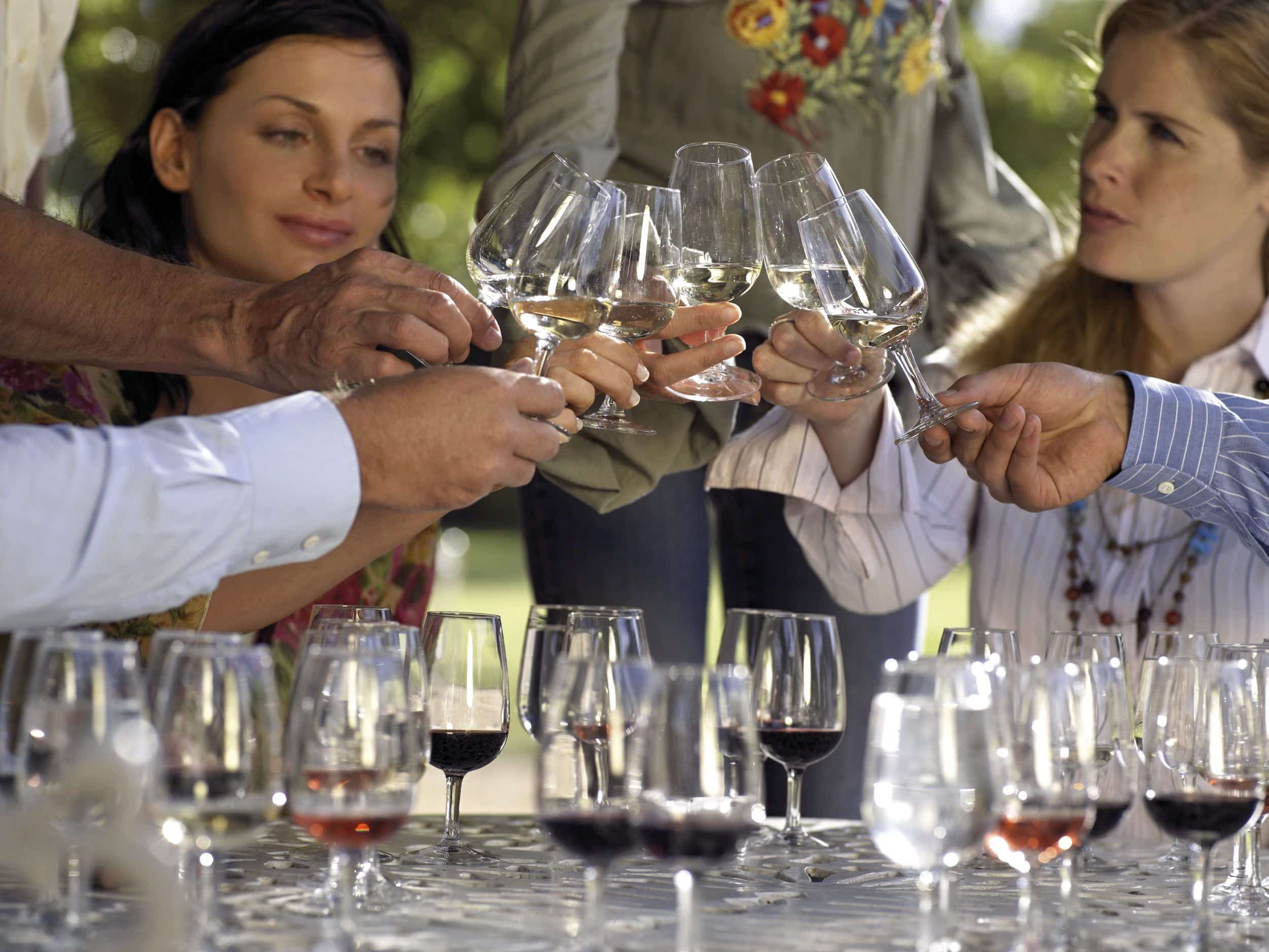 Sonoma County Harvest Fair